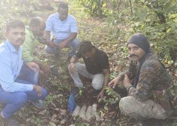 #गडचिरोली: पोलिसांनी नक्षल्यांचा घातपाताचा डाव उधळून लावला l