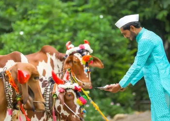 एक नमन गोरा पार्वती, हर बोला हर-हर महादेव | Har Har Mahadev