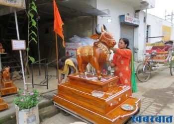 tanha pola | तान्हा पोळ्याची सुरवात कोणी केली माहिती आहे का?