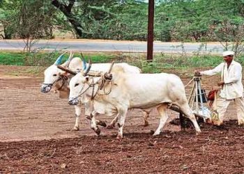 पेरणी (कवयित्री हर्षा भुरे, भंडारा )