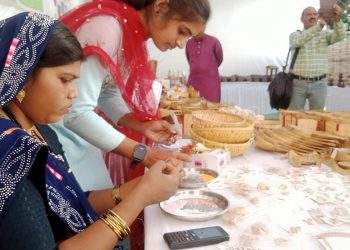 ग्रामायण सेवा प्रदर्शन 2023 चे थाटात उद्घाटन