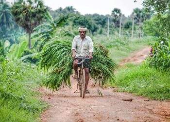 या योजने बाबत अधिक माहितीसाठी कृषी विभाग महाराष्ट्र राज्य संकेतस्थळ www.krishi.maharashtra.gov.in किंवा सबंधित तालुका कृषी अधिकारी कार्यालयाशी संपर्क साधावा.