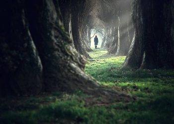 ‘ती’ बातमी राज्यात गाजली; अंधाऱ्या खोलीची भीती…..भीतीमुळे स्थलांतर