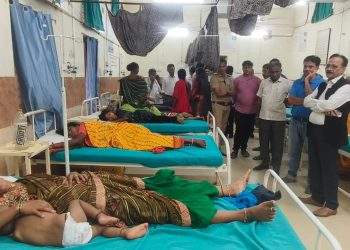 कोकणाई येथे देवदर्शनासाठी गेलेल्या भाविकांवर मधमाशांच्या हल्ला