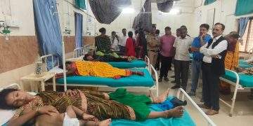 कोकणाई येथे देवदर्शनासाठी गेलेल्या भाविकांवर मधमाशांच्या हल्ला